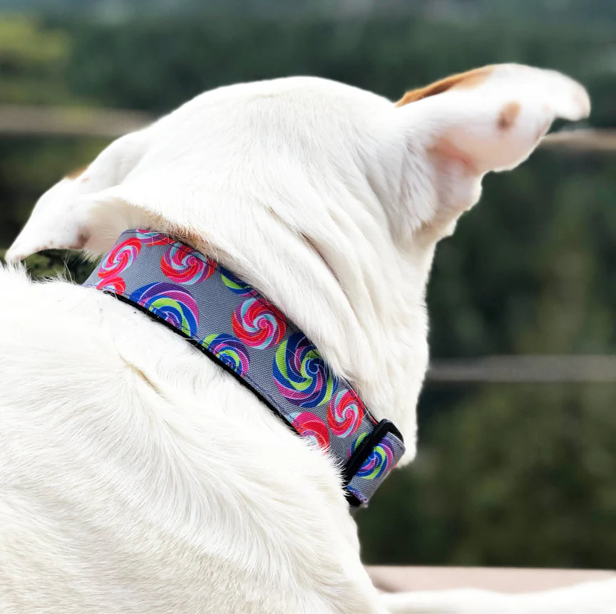 Lollipop Dog Collar