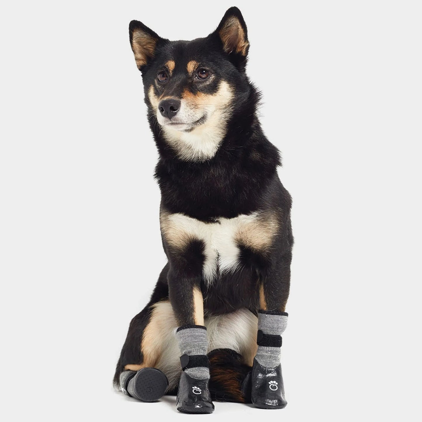 Dog Booties
