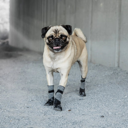 Dog Booties