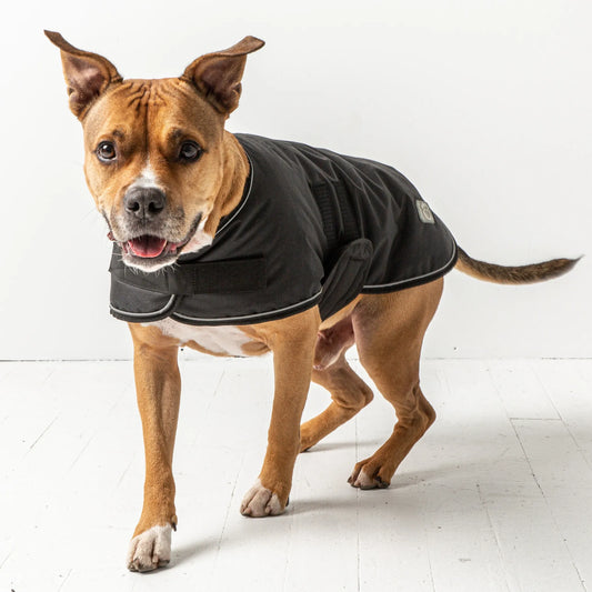 Blanket Jacket for Dogs