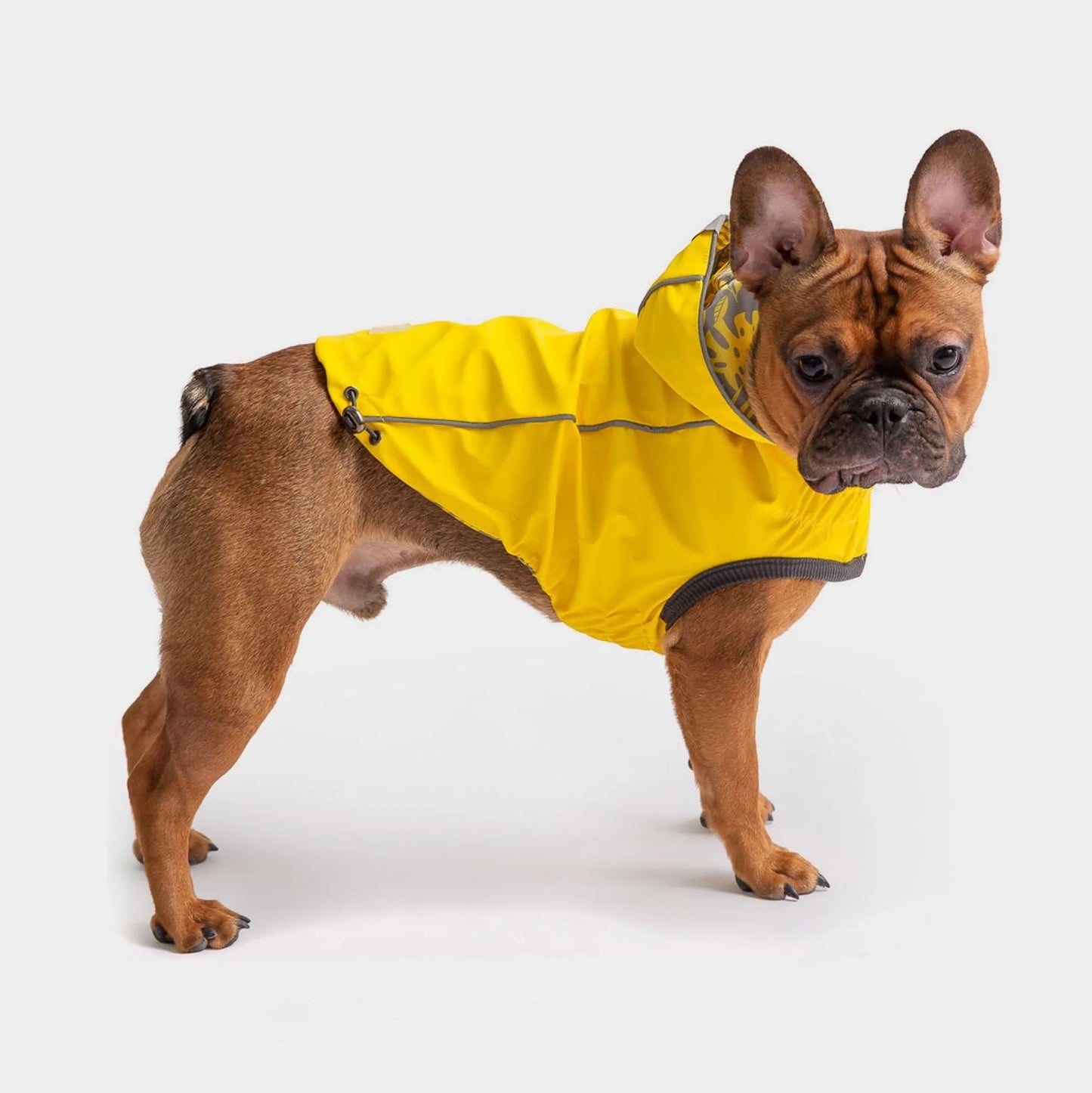 Reversible Raincoat