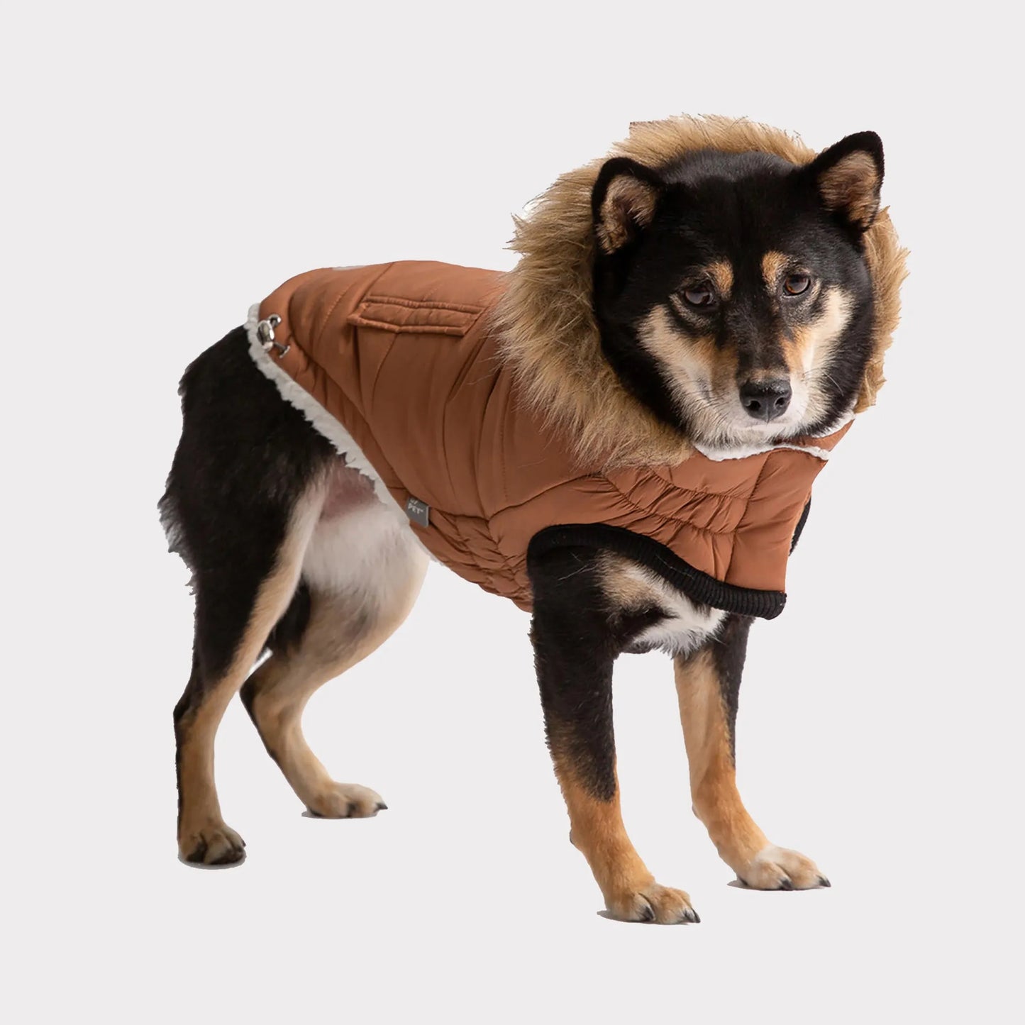 Urban Dog Parka