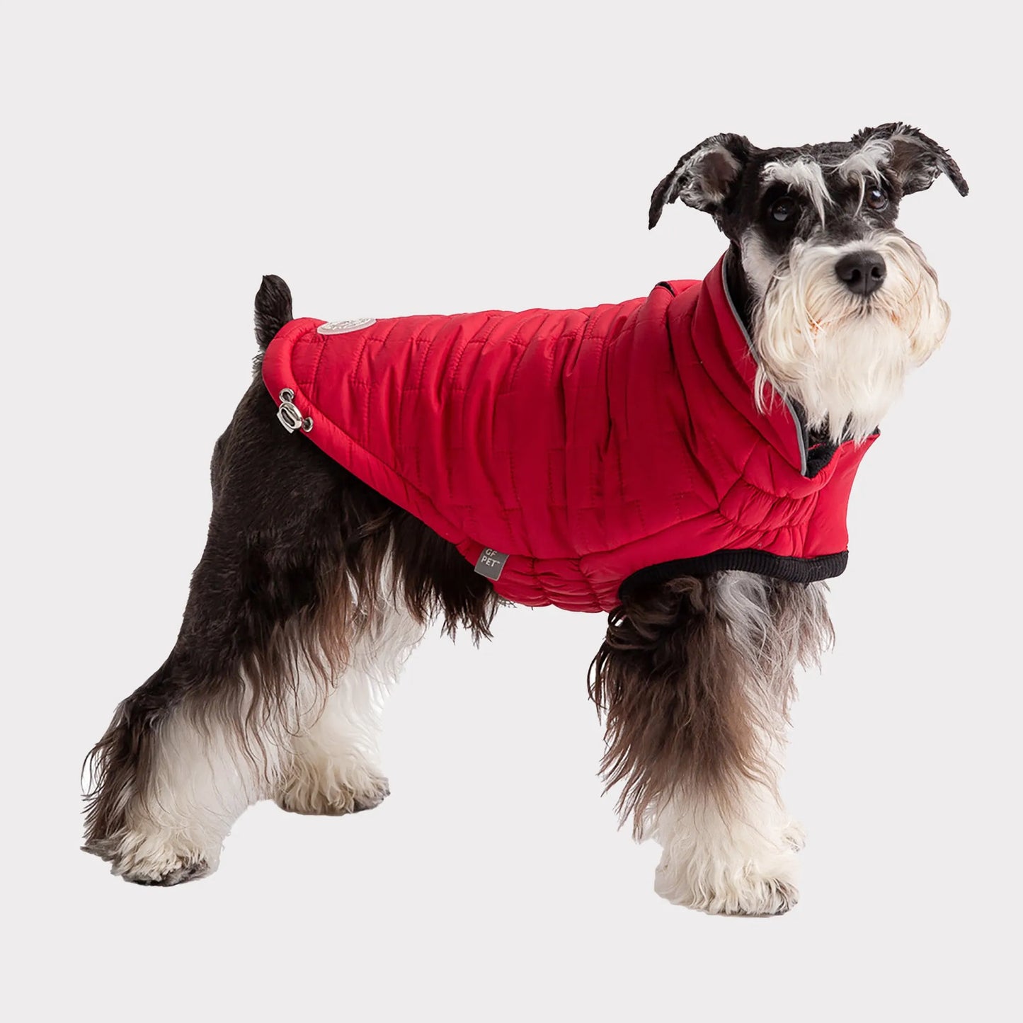 Reversible Chalet Dog Jacket