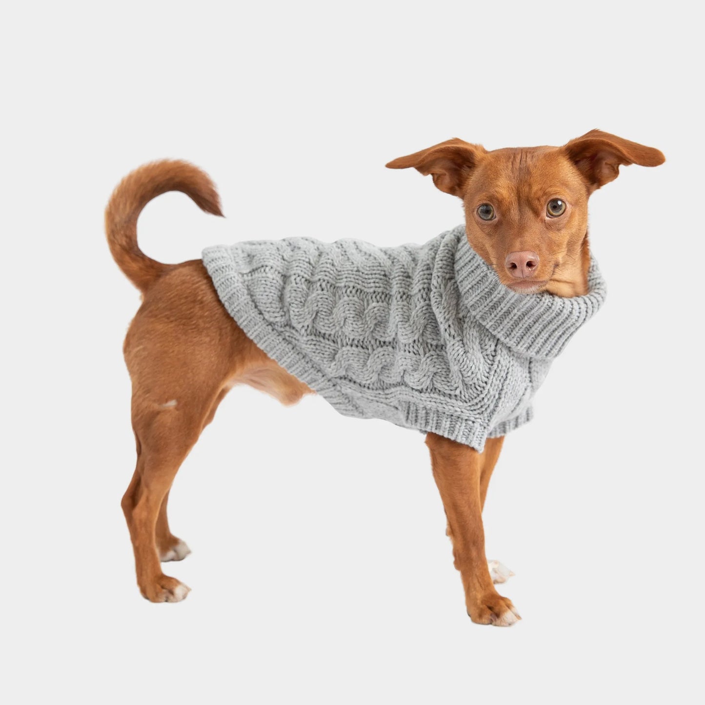 Chalet Dog Sweater
