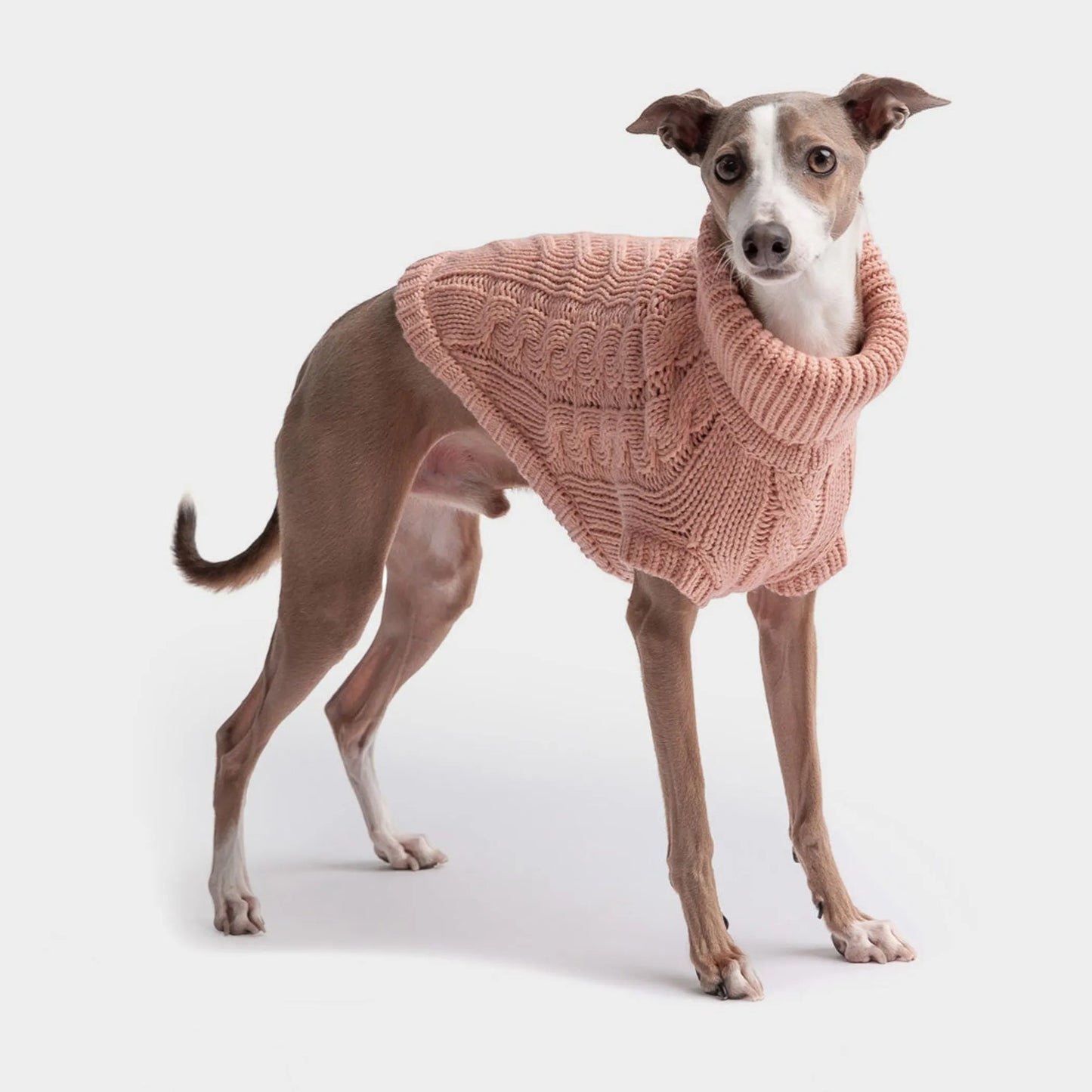 Chalet Dog Sweater