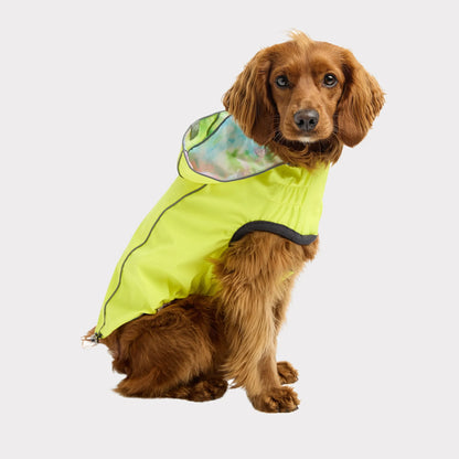 Reversible Raincoat