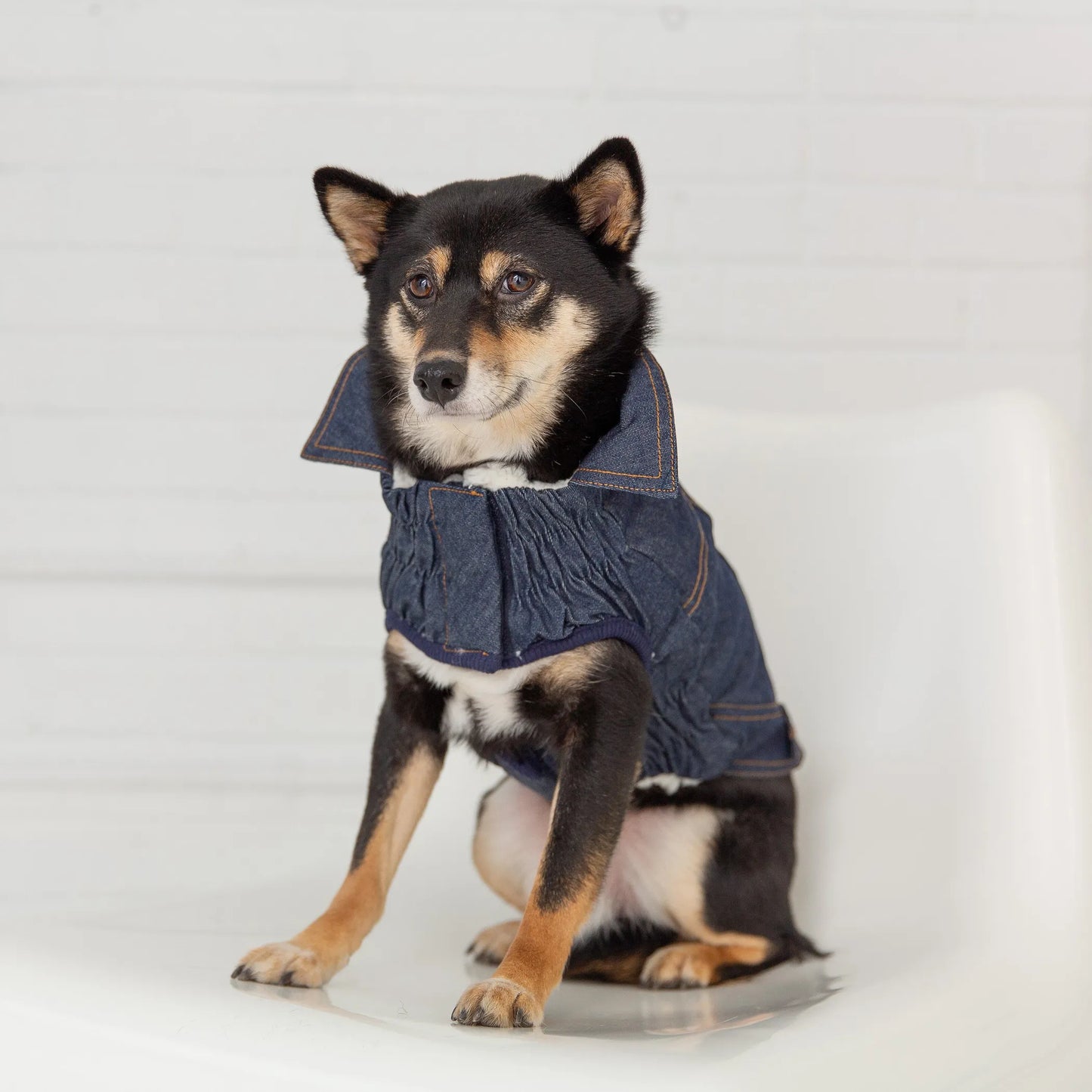 Denim Dog Jacket