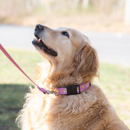 Bananas Dog Collar