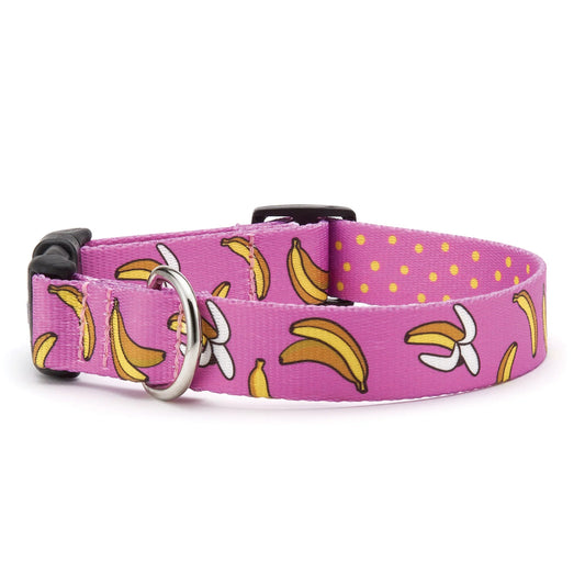 Bananas Dog Collar