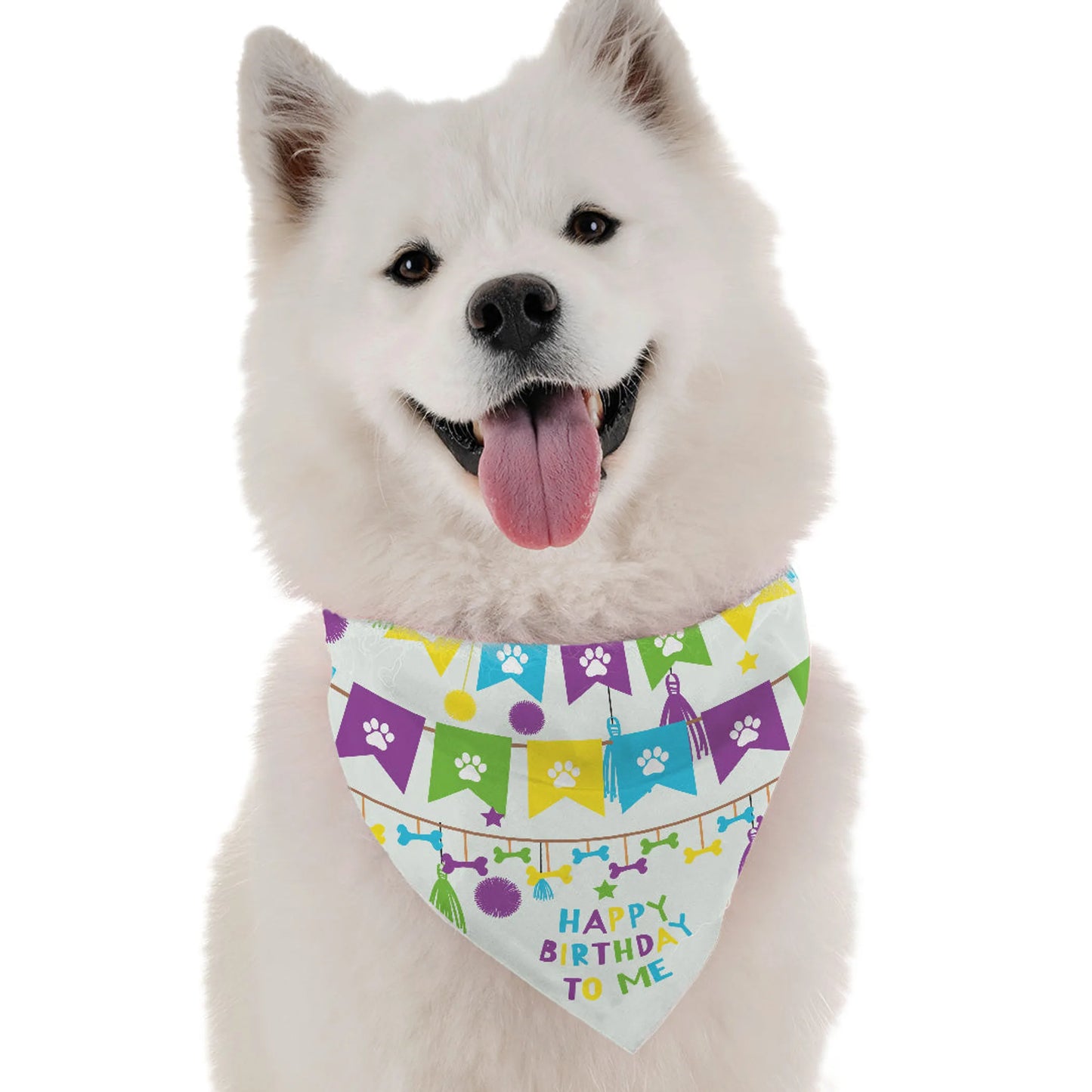 Happy Birthday To Me (Boy) Bandana