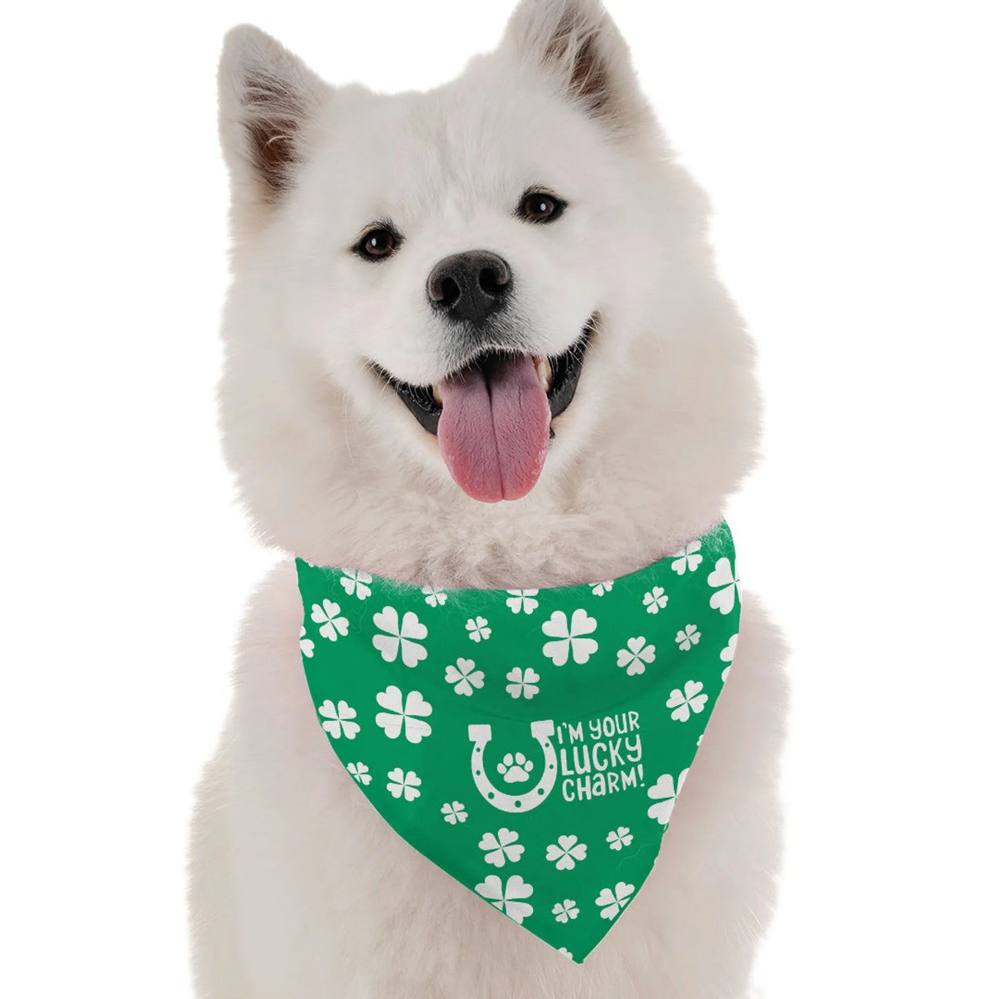 I'm Your Lucky Charm Bandana