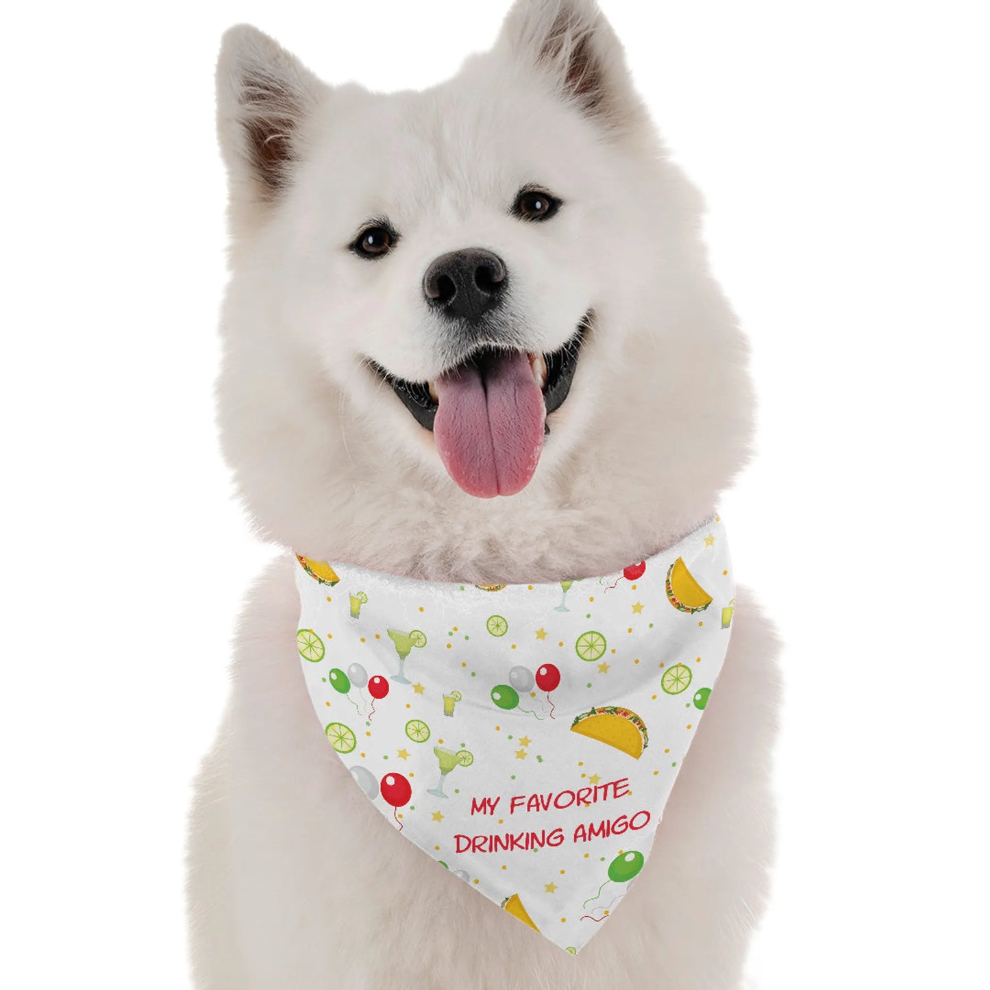 Drinking Amigo Bandana