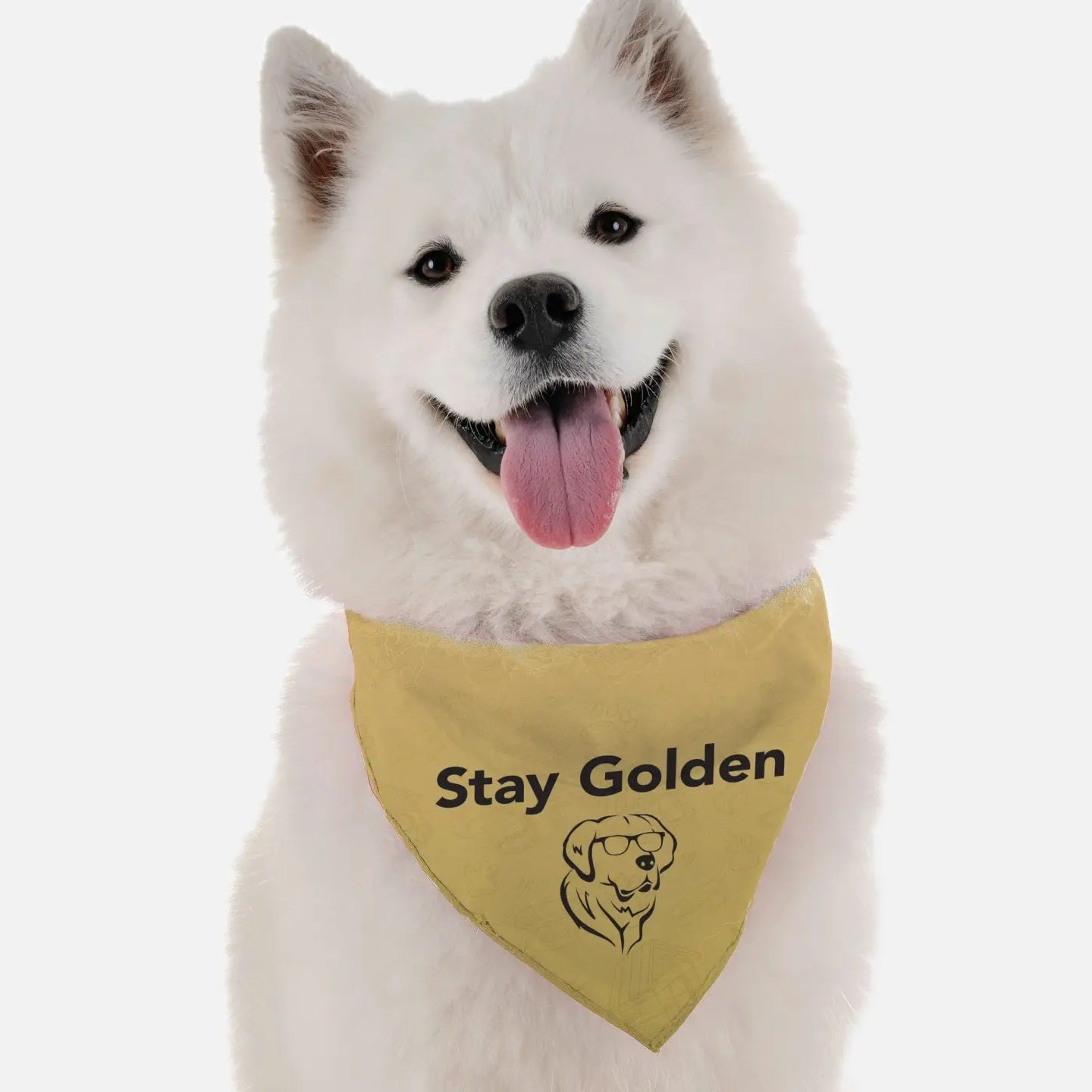 Stay Golden Bandana