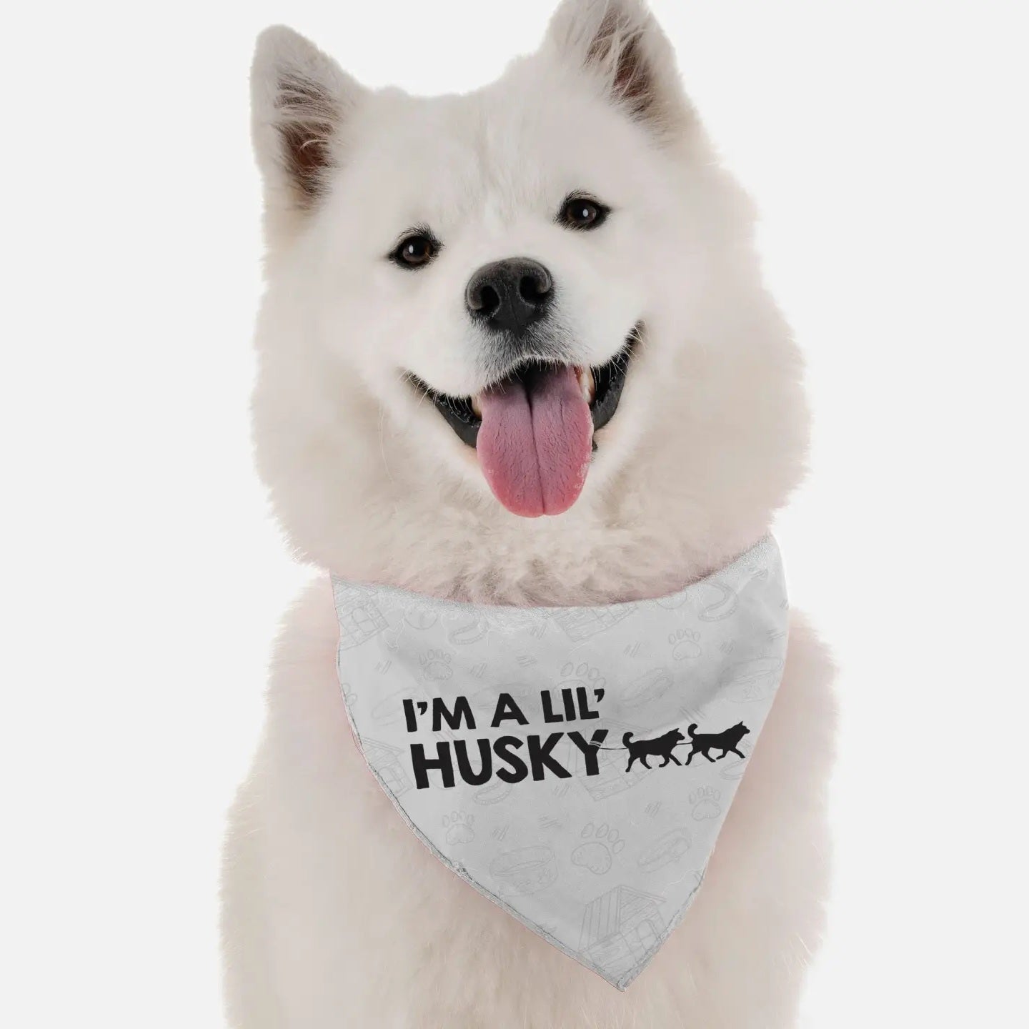 I'm a lil' Husky Bandana