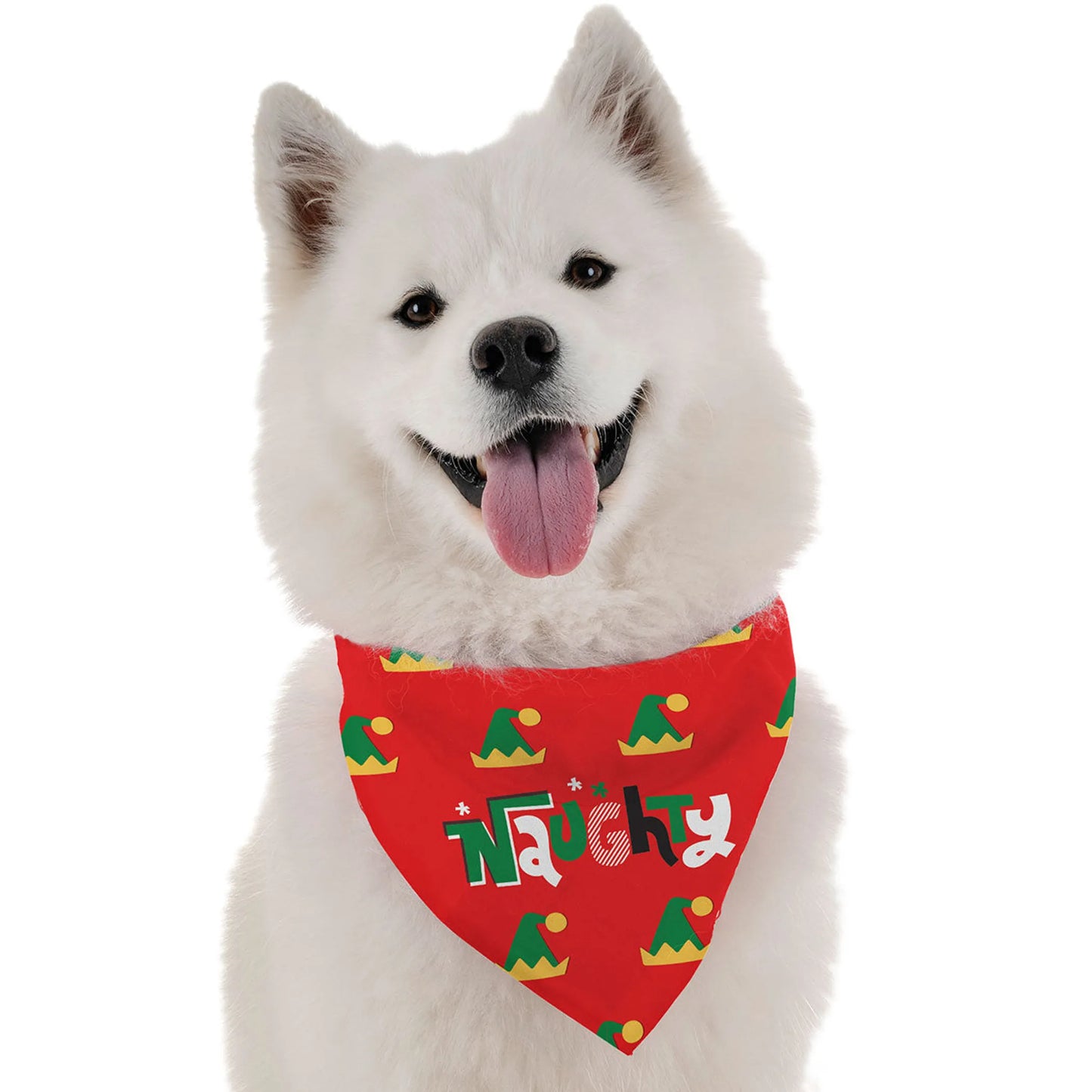 Naughty Bandana