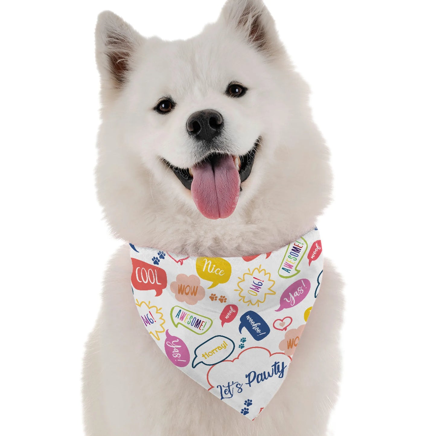 Let's Pawty (Boy) Bandana