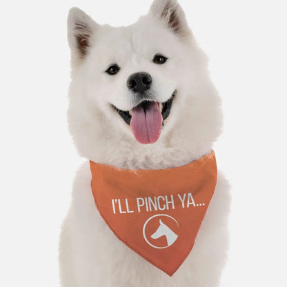 I'll Pinch Ya Bandana