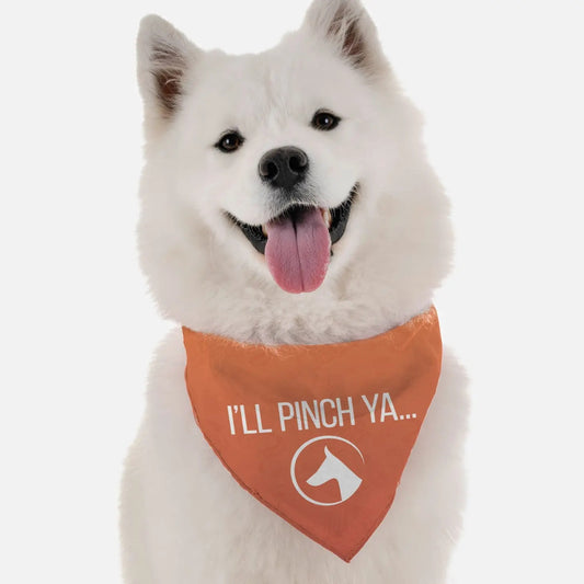 I'll Pinch Ya Bandana