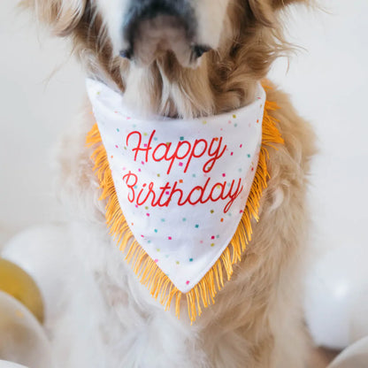 Birthday Bandana and Bone