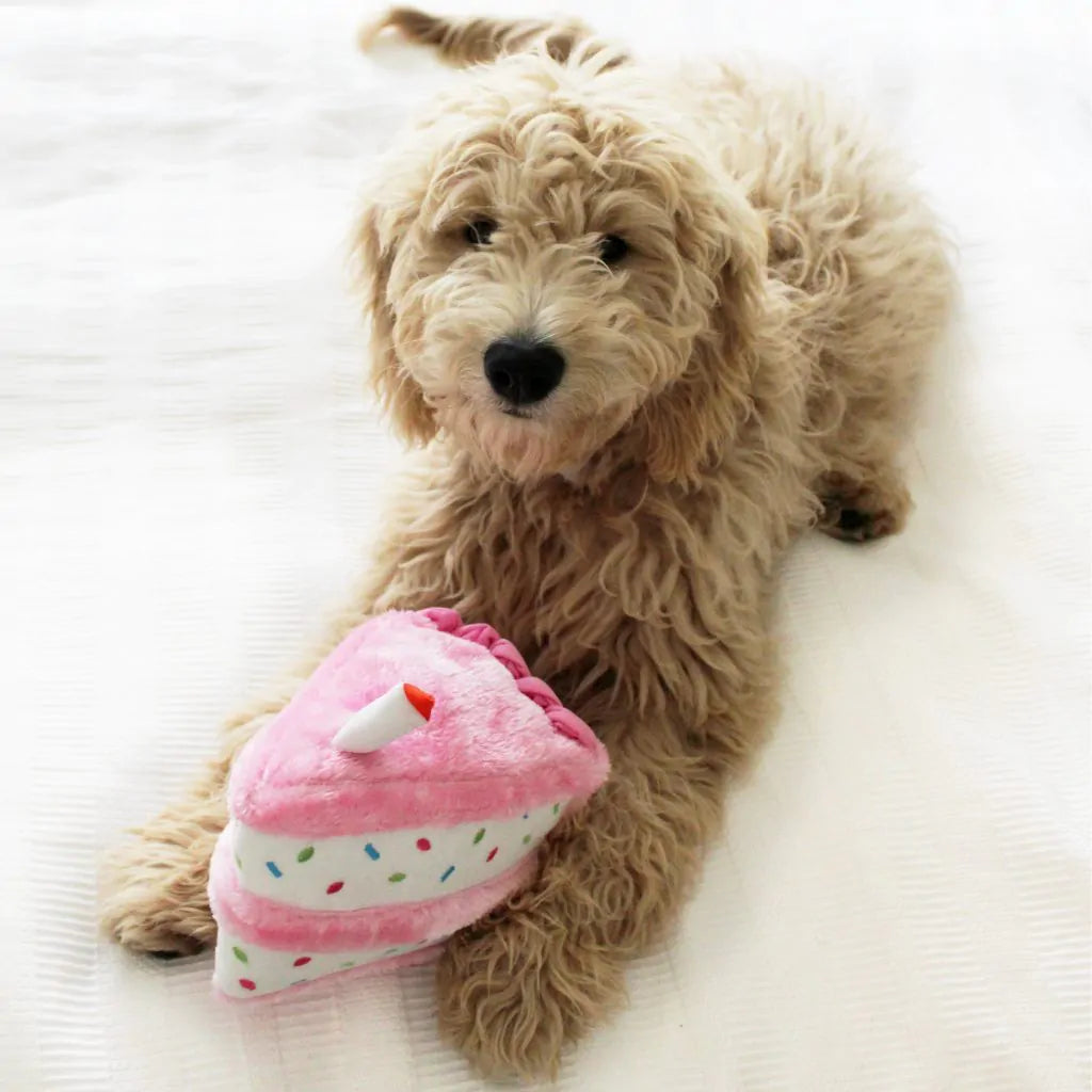 Birthday Cake Pink Plush