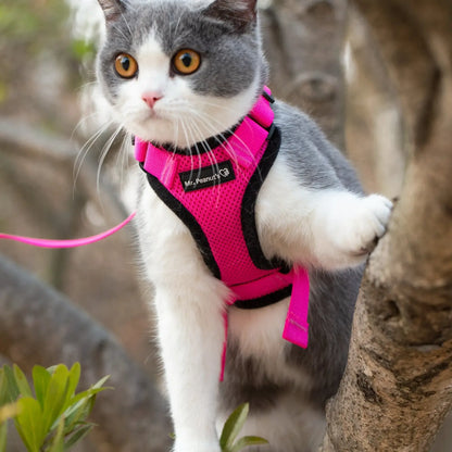 Reflective Cat Harness