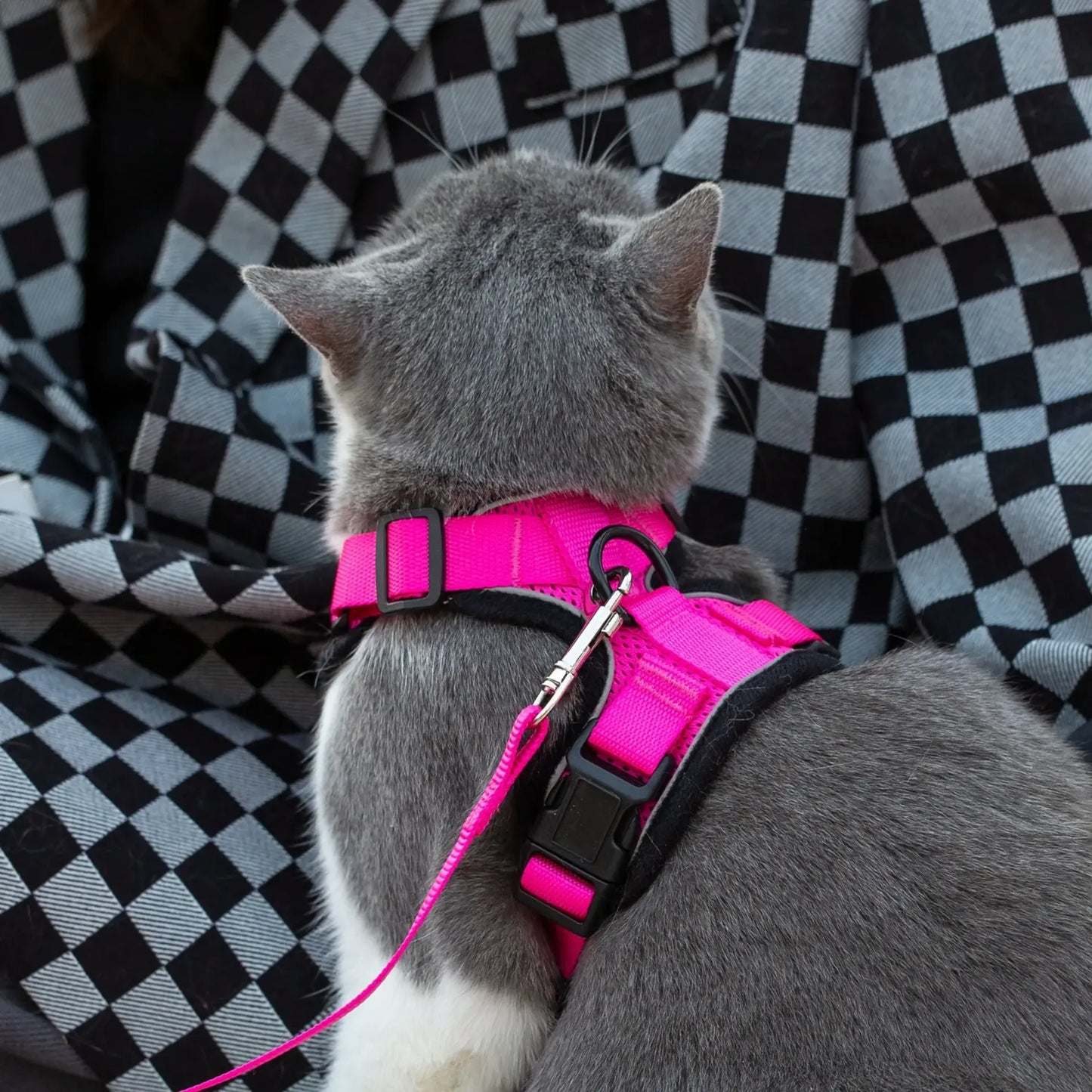 Reflective Cat Harness