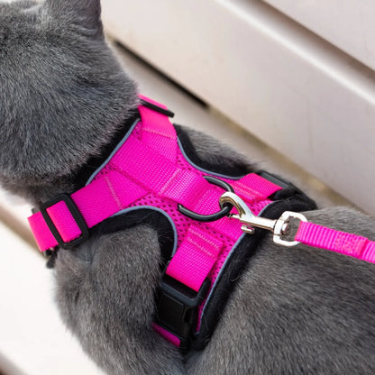 Reflective Cat Harness
