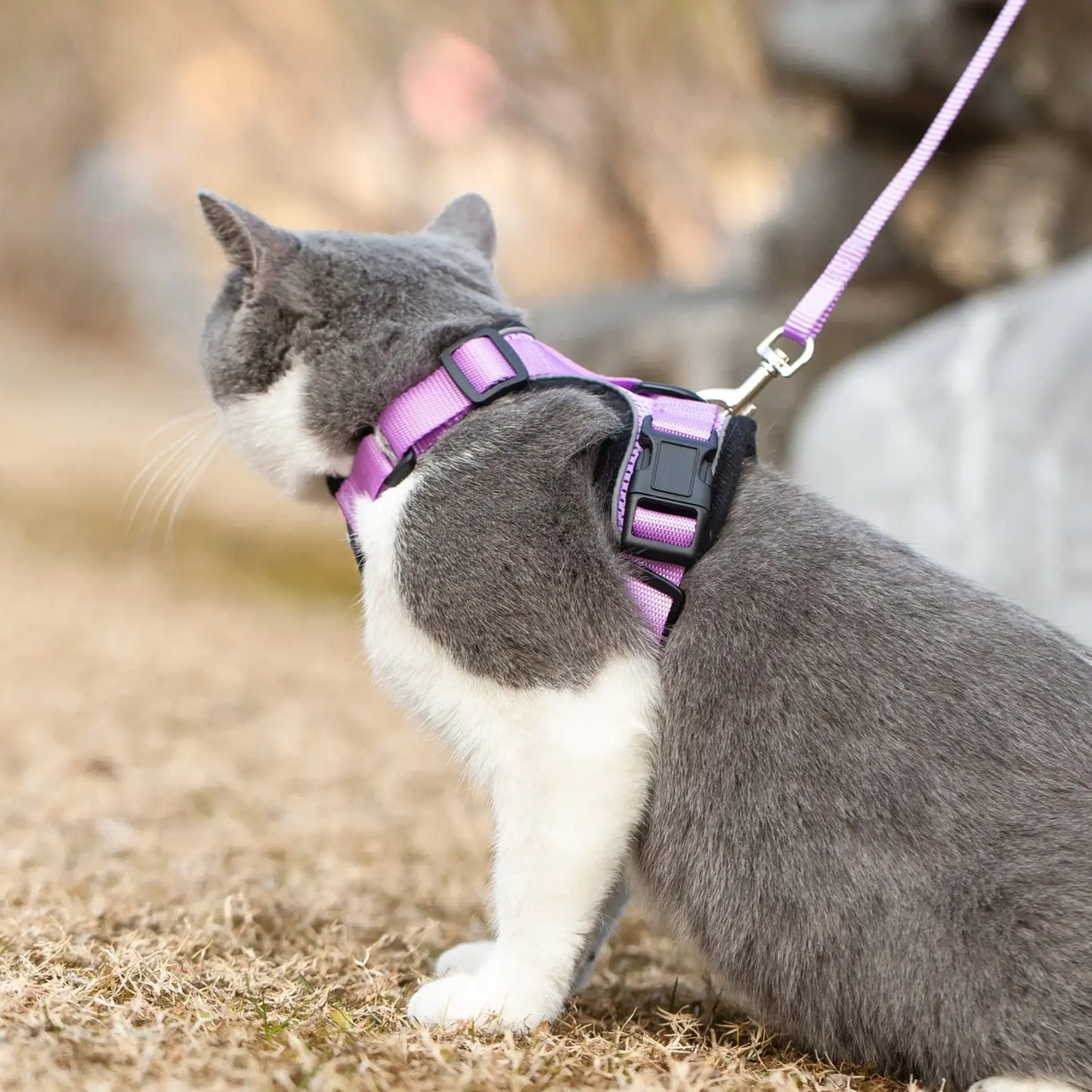 Reflective Cat Harness