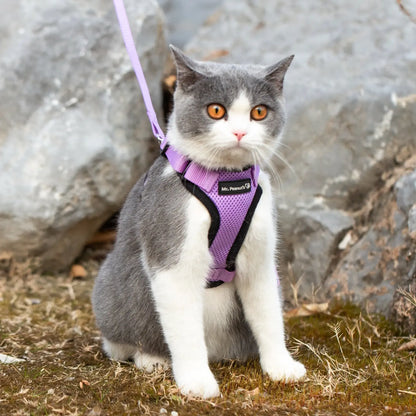Reflective Cat Harness