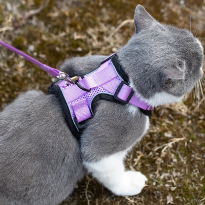 Reflective Cat Harness