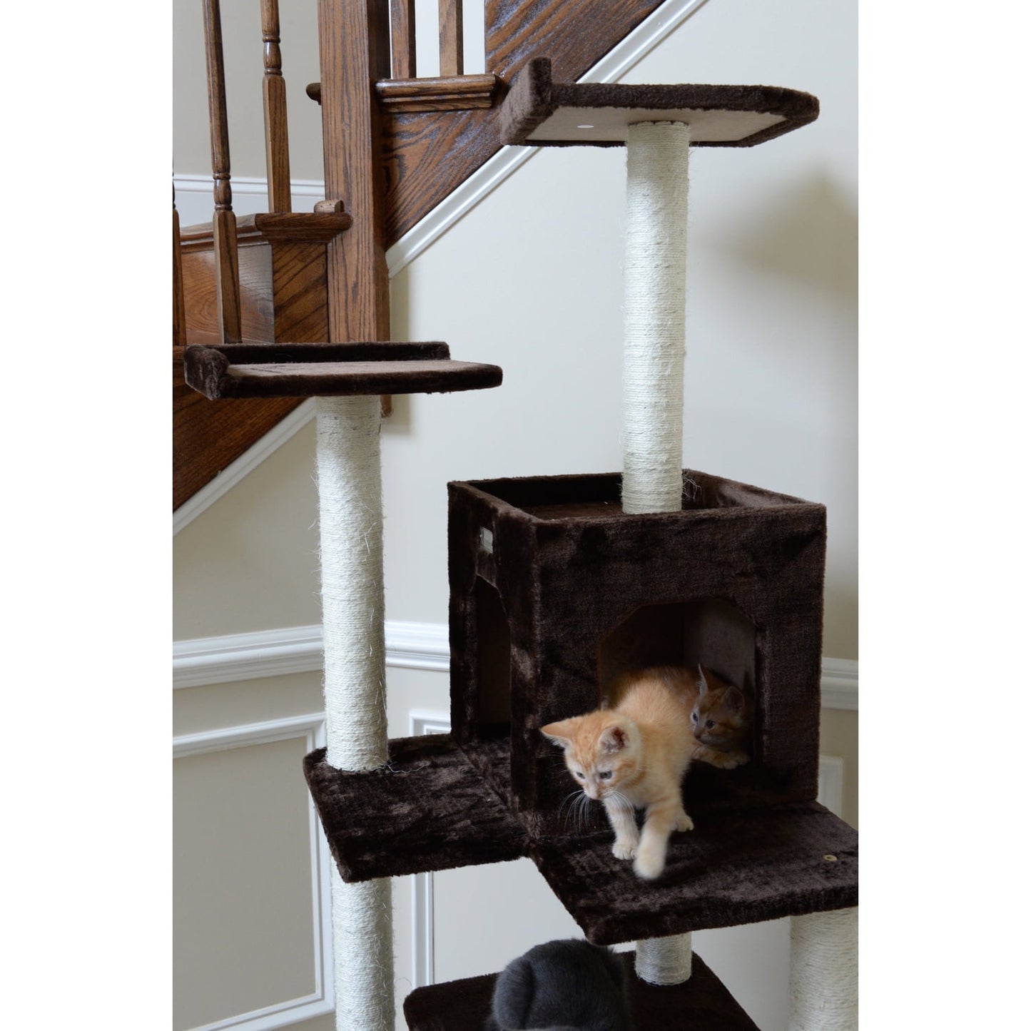 Multi-Level Cat Tower - Coffee Brown