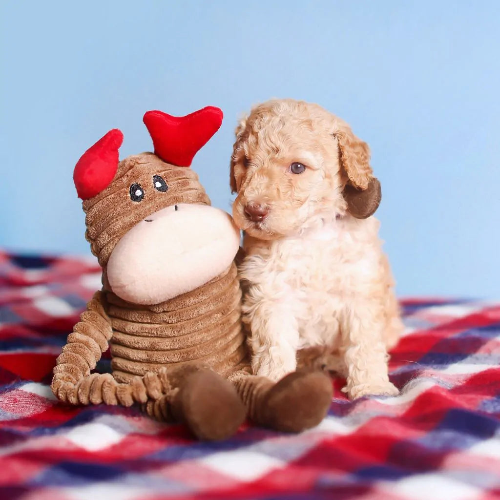 Holiday Crinkle Reindeer Plush