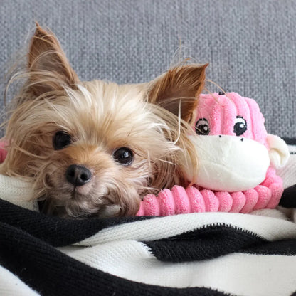 Spencer Crinkle Monkey Pink Plush