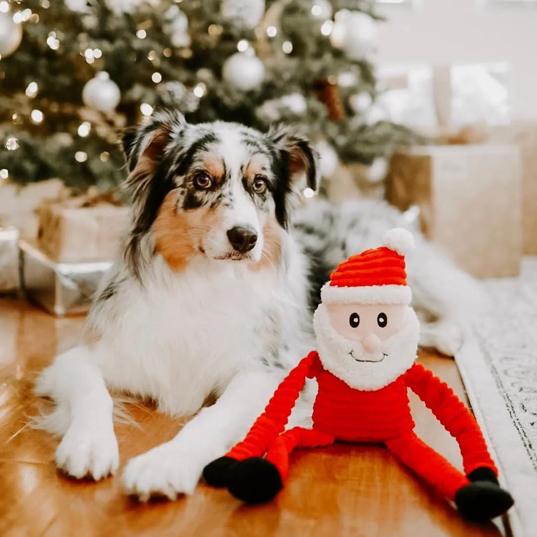 Holiday Crinkle Santa Plush