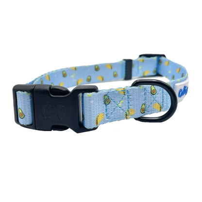 Fun Designs Dog Collar
