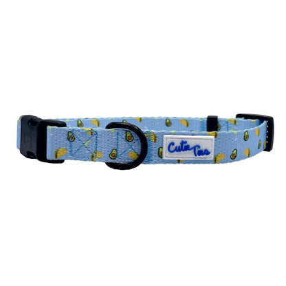 Fun Designs Dog Collar