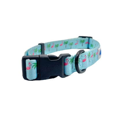 Fun Designs Dog Collar