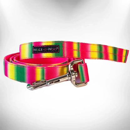 Tie Dye Dog Lead