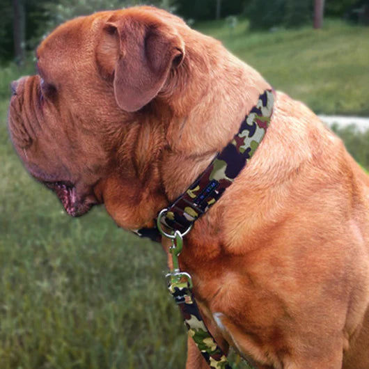 Camo Dog Collars