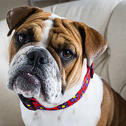Flower Dog Collar