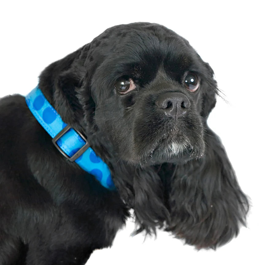 Monotone Polka Dot Dog Collar