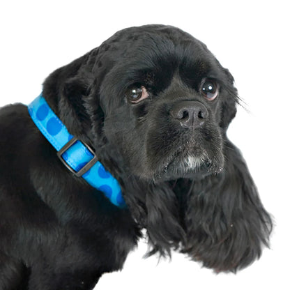 Monotone Polka Dot Dog Collar