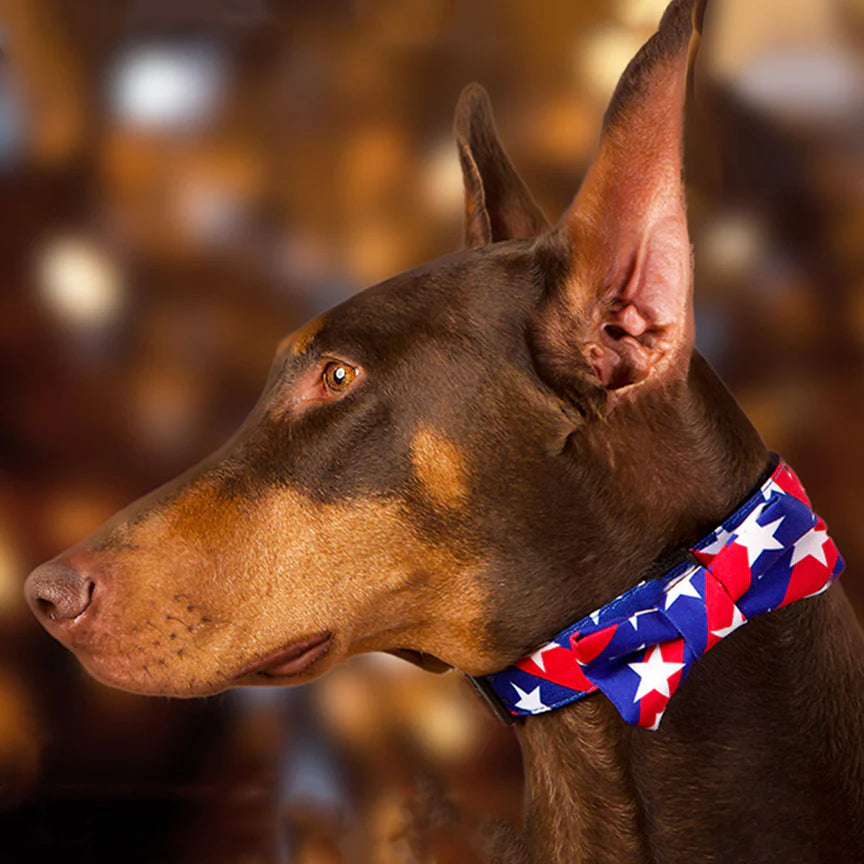 Stars & Stripes Dog Collar