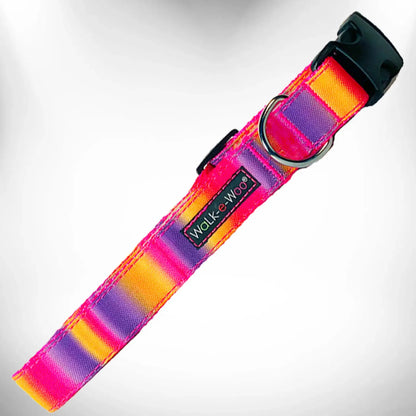 Tie Dye Dog Collar