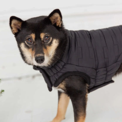 Reversible Chalet Dog Jacket