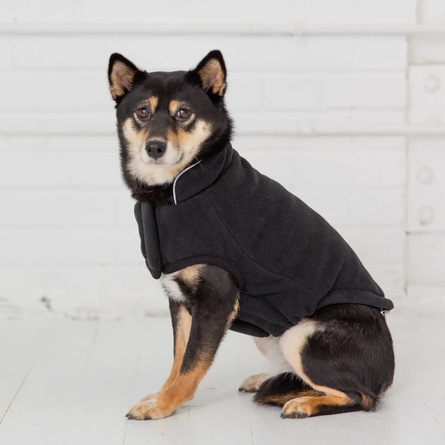 Reversible Chalet Dog Jacket
