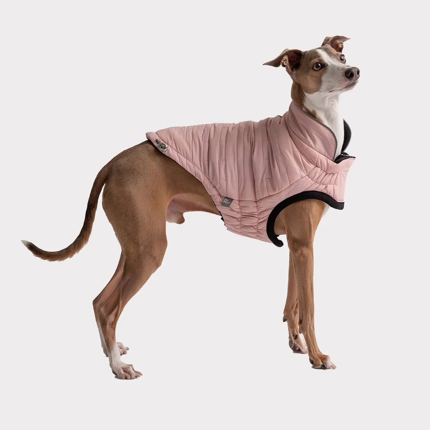 Reversible Chalet Dog Jacket