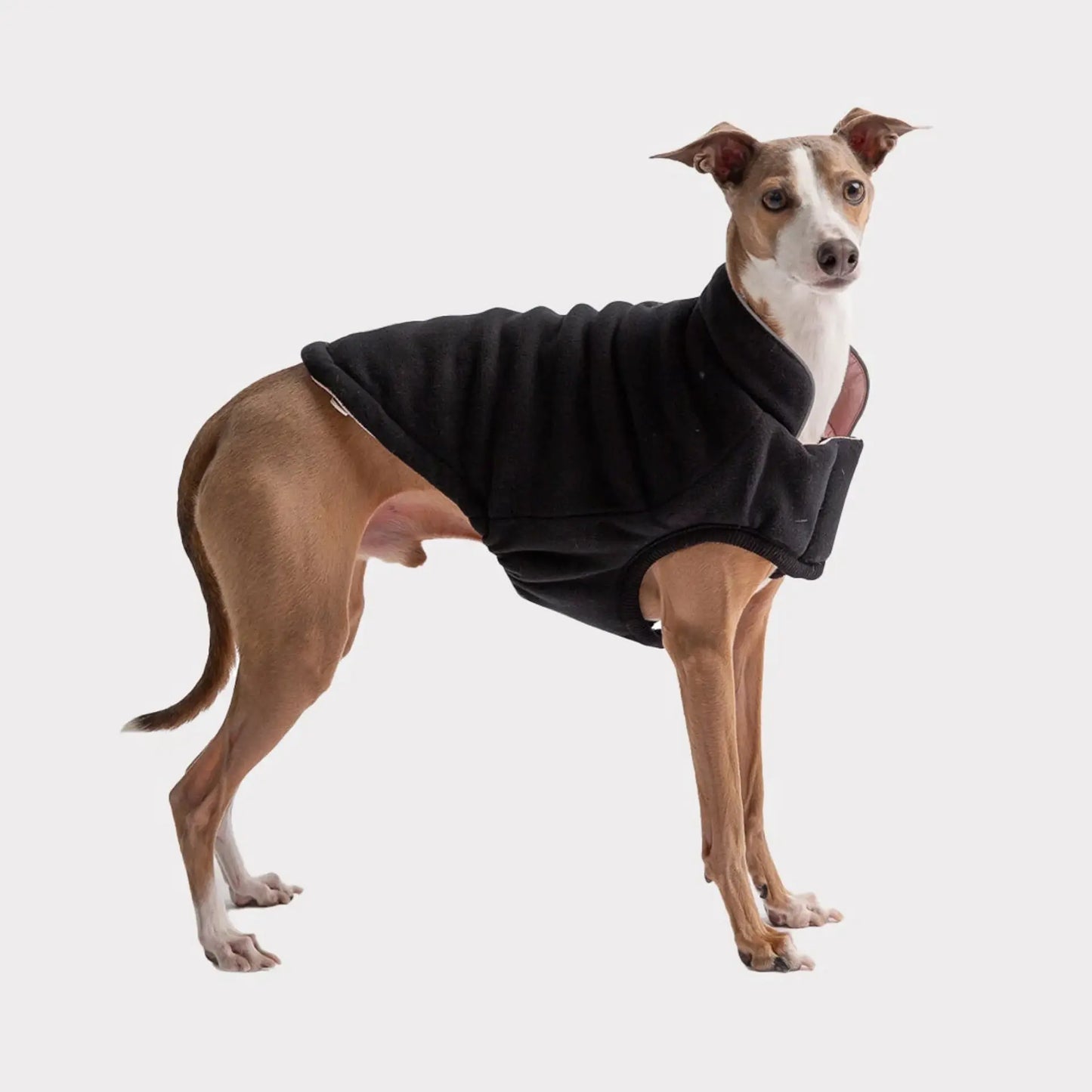 Reversible Chalet Dog Jacket