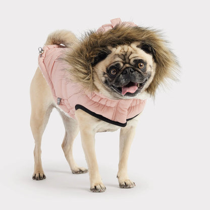 Urban Dog Parka