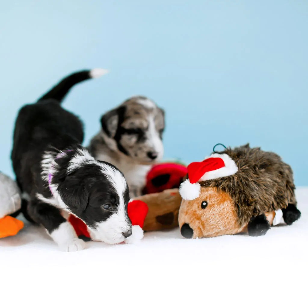 Holiday Hedgehog Plush